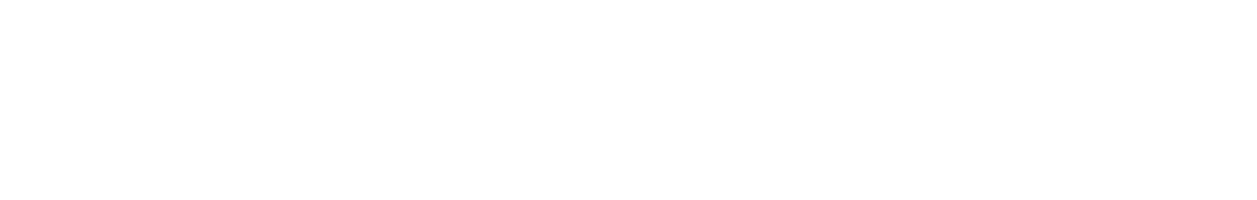 上海圣淘沙dh海关数据平台