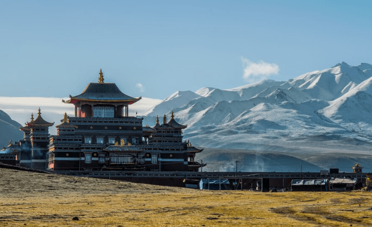 蒙古国海关数据查询平台（附免费试用查询平台）